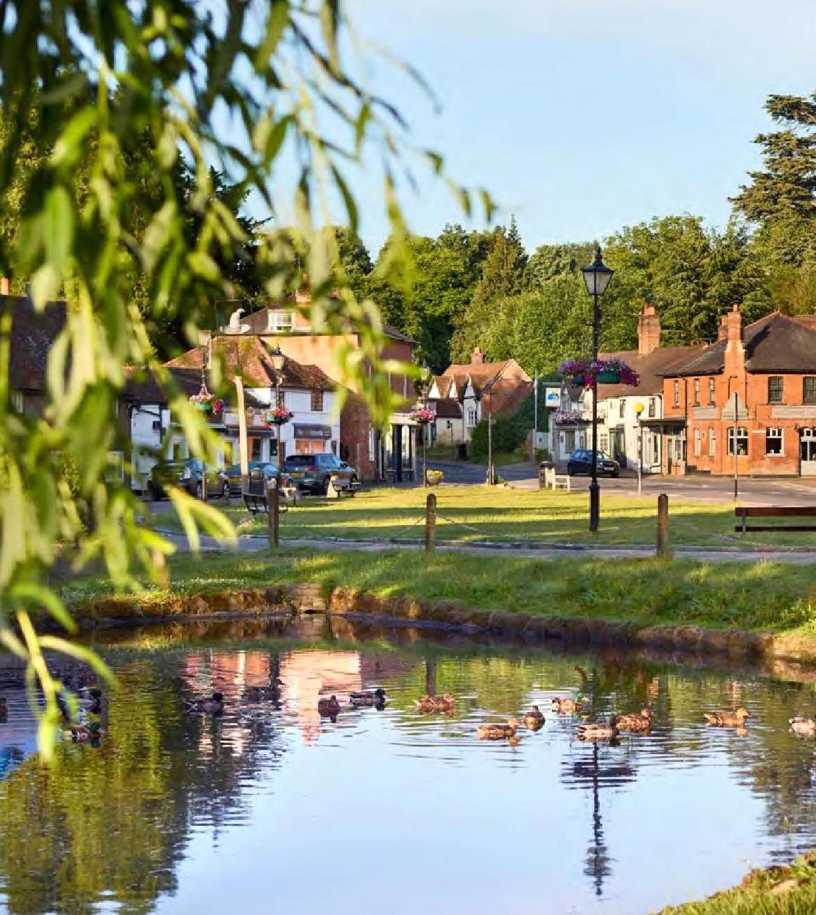 Ducks on the village pond at Chalfont St Giles, with the green and village houses beyond.