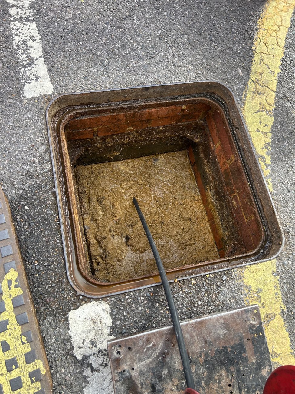 Inspection chamber packed to the top with set yellow-brown cooking fat and grease, with a rod pushed into it.