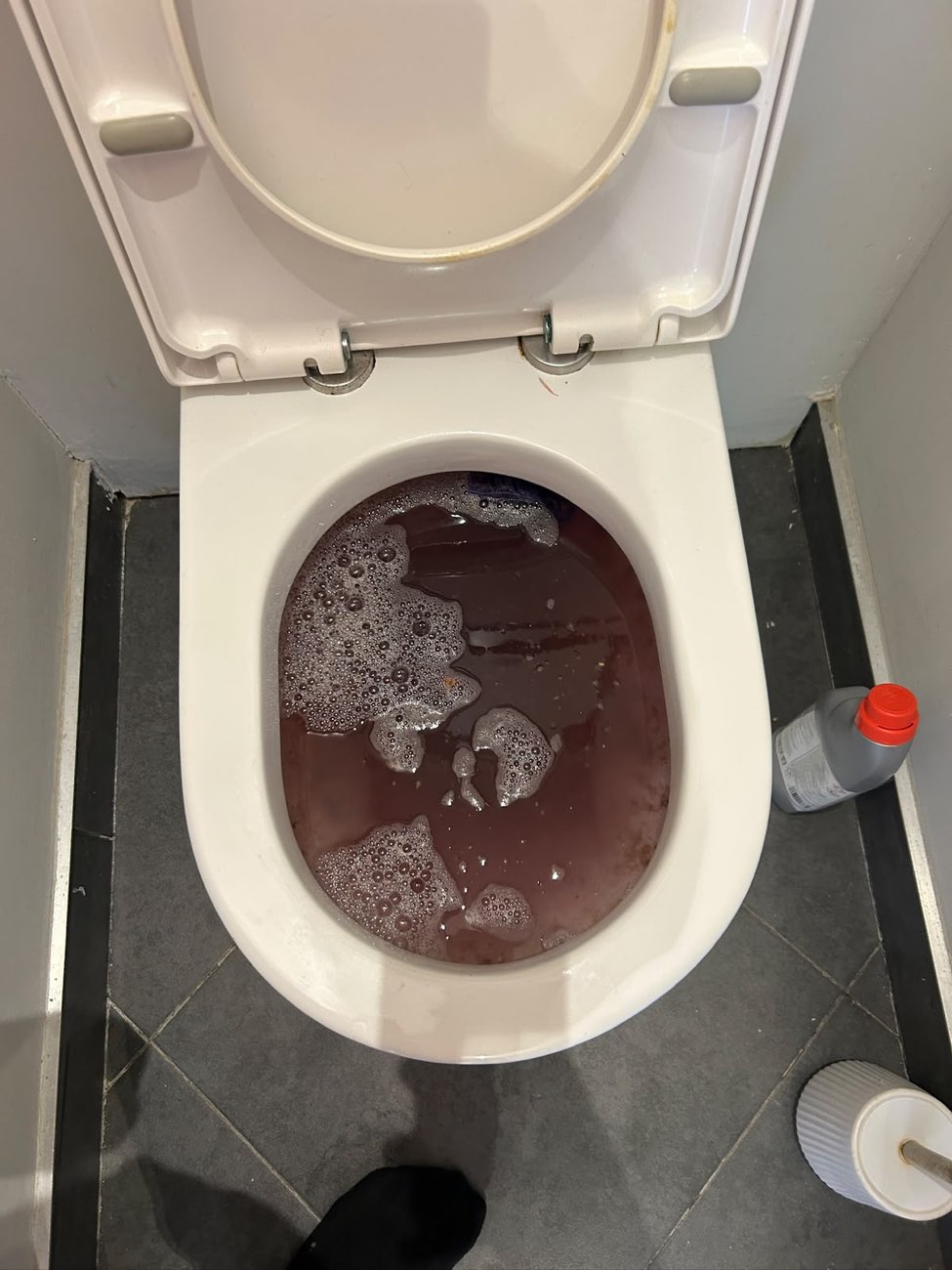 Toilet pan full to the rim with dark brown backed-up water and foam.