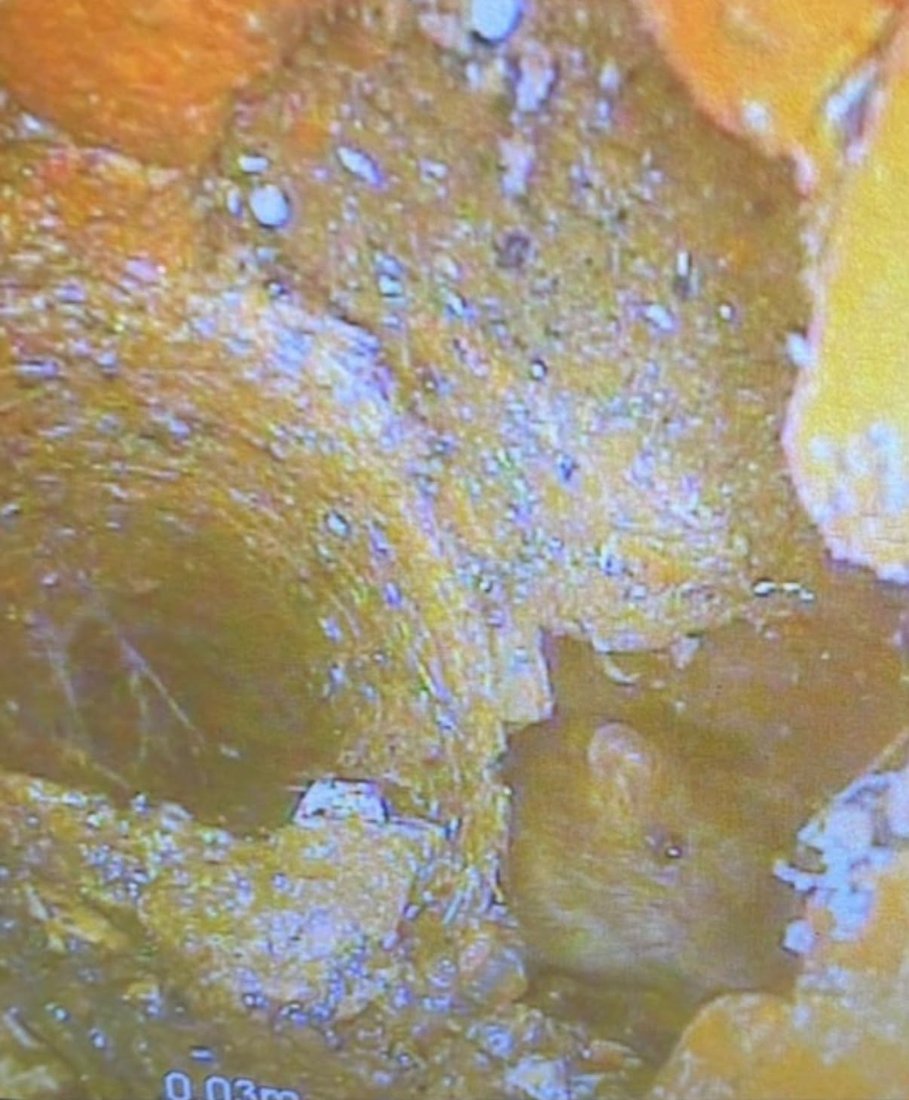 CCTV survey still of a rat inside a drain, sat in the thick fat and grease caked around the pipe wall.