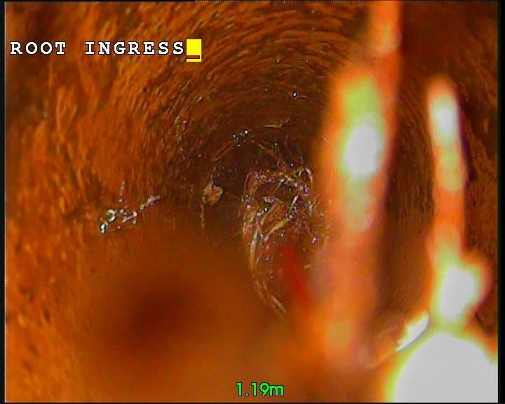 CCTV survey still labelled root ingress, showing fine roots coming through a pipe joint at 1.19 metres.