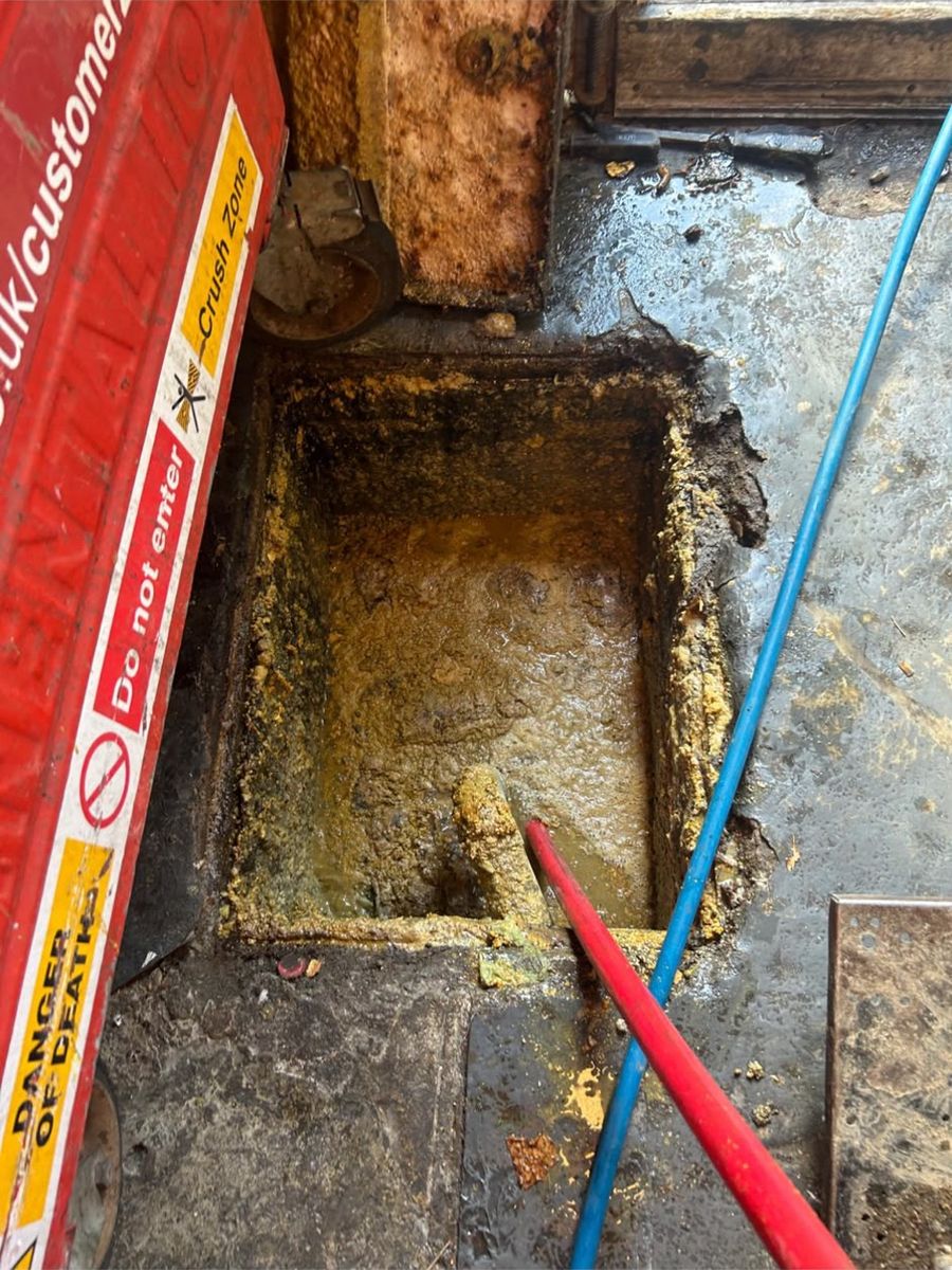 A chamber coated inside with thick yellow set fat, with drain rods worked across it and a barrier up alongside.