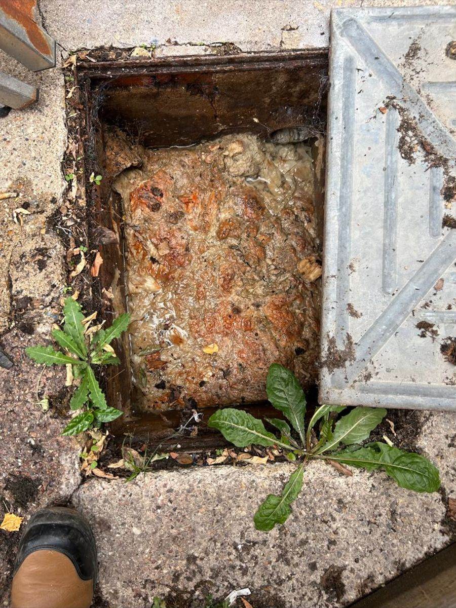 A gully in a path filled to the top with set fat and food waste, the galvanised cover lifted off to one side.