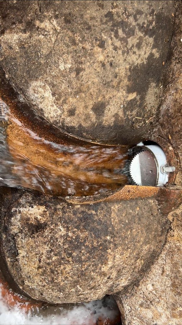 A rodent guard fitted into the outlet of an inspection chamber, with water running past it through the benching.