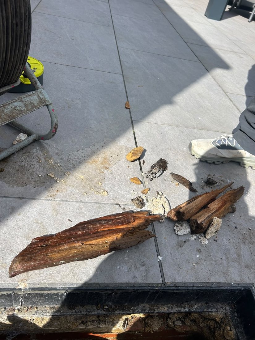 Large woody root sections cut out of a drain and laid on paving beside the open chamber.