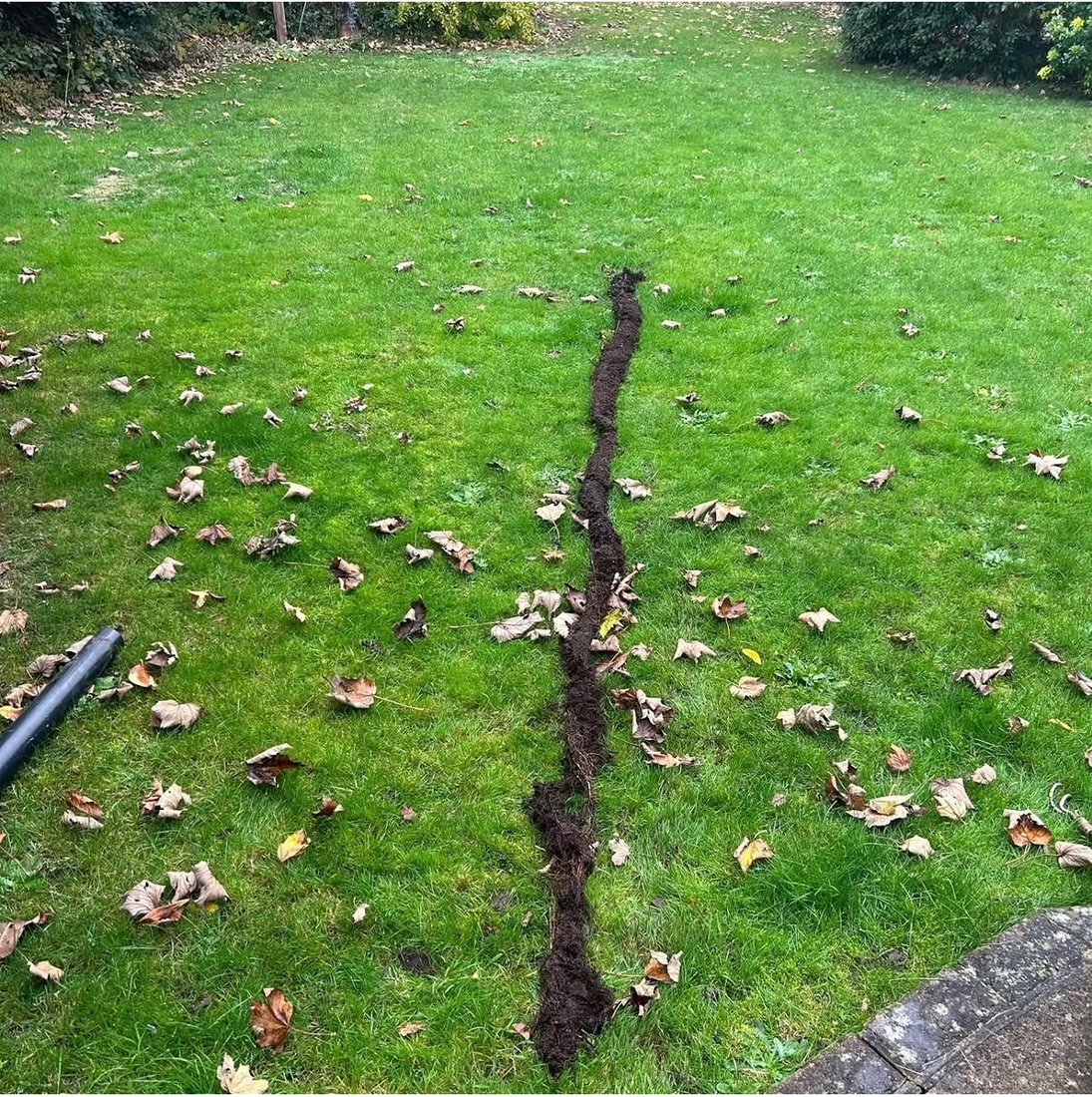 A continuous rope of fine tree root pulled out of a drain and laid out in a line across a lawn, showing the length of the run it came from.