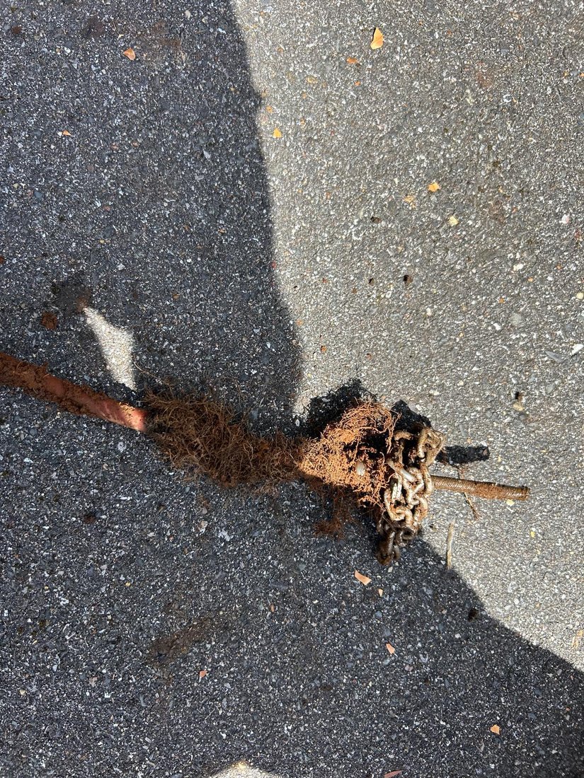 A wet mass of fine tree roots pulled out onto a driveway, still hanging off the chain cutting head and rod that took them out.
