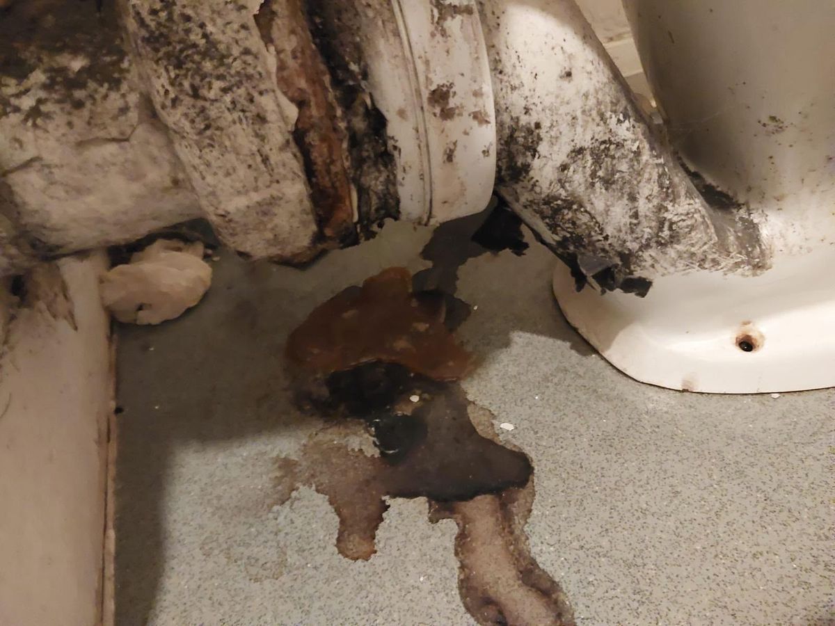 The base of a toilet and its soil pipe thick with black mould, with brown seepage spreading out across the vinyl floor.