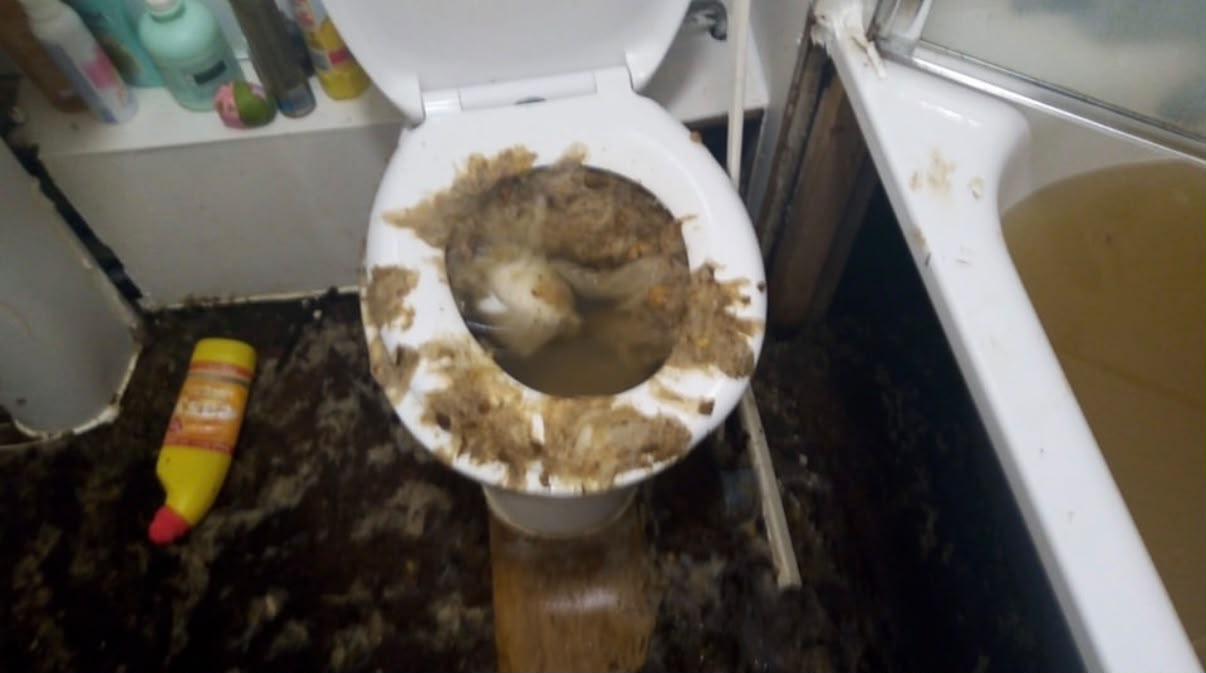 A toilet overflowed and backed up, with waste over the rim of the pan and across the bathroom floor