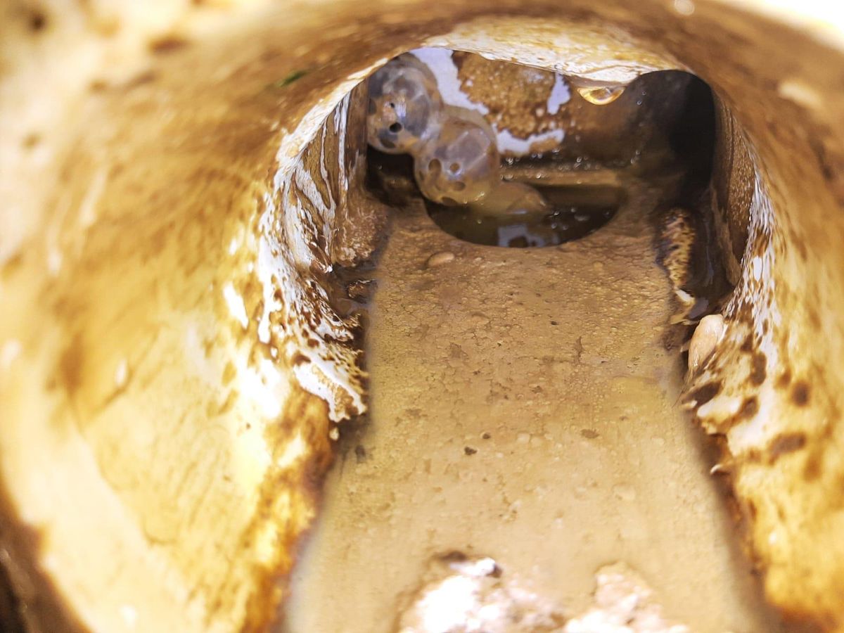 Looking along the inside of a waste pipe heavily coated in fat and scum, with water standing in the bottom of the run.