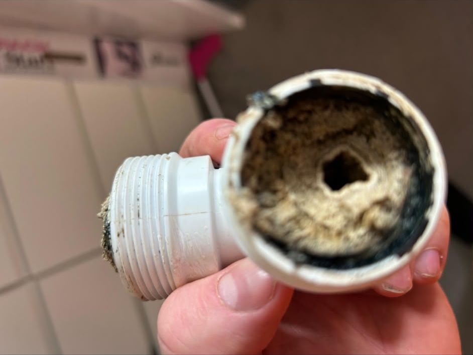 A white plastic waste trap held in the hand, its bore almost completely closed by hardened build-up with only a small hole left.